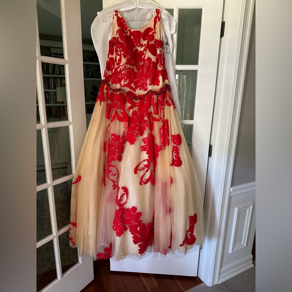 Jovani Gown - Prom or Homecoming, beautiful nude & red - Picture 5 of 13